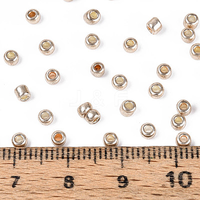 8/0 Glass Seed Beads X-SEED-A017-3mm-1107-1