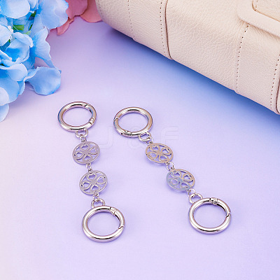 2Pcs 304 Stainless Steel Bag Extension Chains AJEW-TAC00013-1
