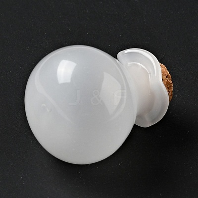 Lucky Bag Shape Glass Cork Bottles Ornament AJEW-A039-02E-1
