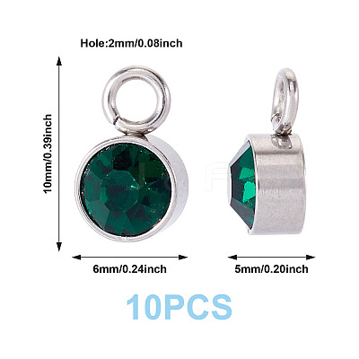 10Pcs Glass Rhinestone Charms STAS-TA0003-26I-1