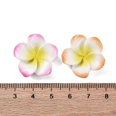 Opaque Resin Cabochons RESI-R455-01C-1