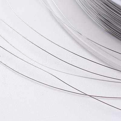 Steel Wire TWIR-E001-0.1mm-1