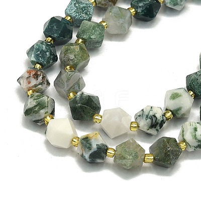 Natural Tree Agate Beads Strands G-I376-A36-01-1