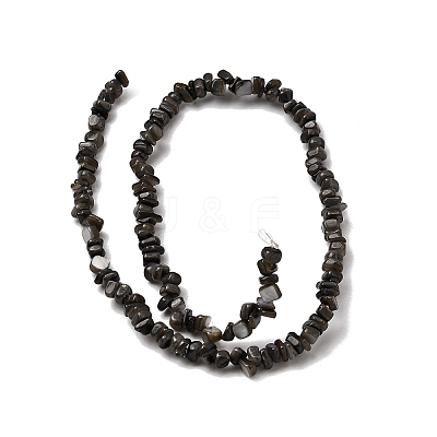 Natural Freshwater Shell Beads SHEL-B003-01J-1