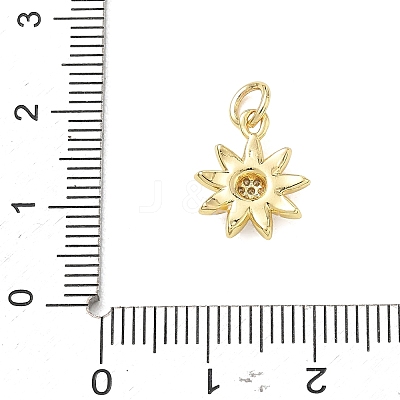 Brass Micro Pave Clear Cubic Zirconia Charms CU-CBADD0C-08G-01-1