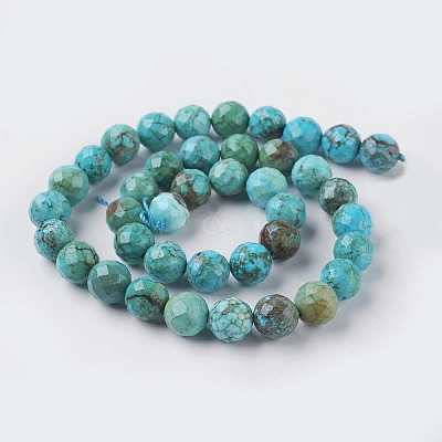 Natural Magnesite Beads Strands TURQ-K004-05-10mm-1