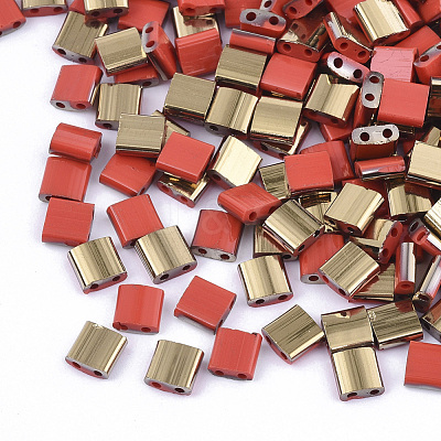 FGB 2-Hole Glass Seed Beads SEED-S031-L-045-G-1