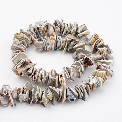 Natural Shell Bead Strands BSHE-P010-08-1