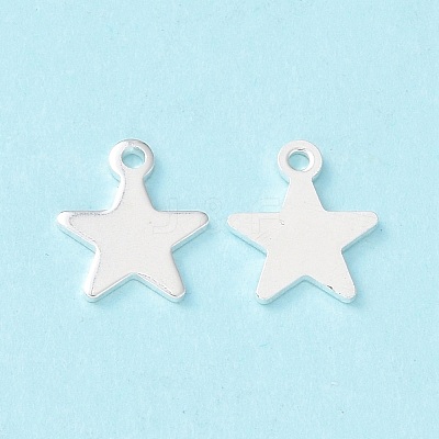 304 Stainless Steel Charms X-STAS-L234-069S-1