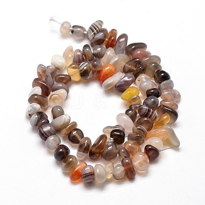 Natural Botswana Agate Chip Beads Strands X-G-E271-104-1