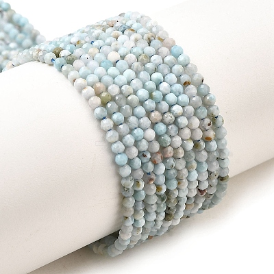 Natural Larimar Beads Strands G-G259-D13-2mm-1