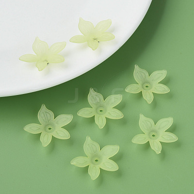 Transparent Acrylic Beads MACR-S373-127-D06-1