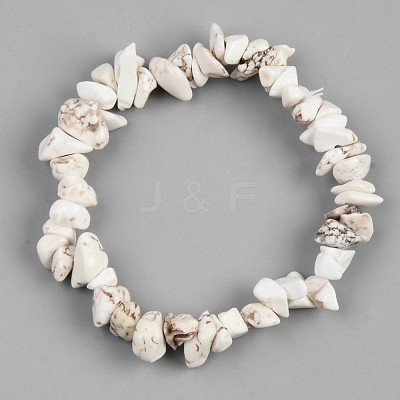 Unisex Chip Natural Magnesite Beaded Stretch Bracelets BJEW-S143-41-1