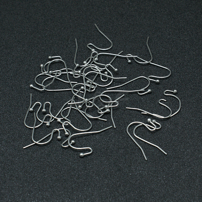 Tarnish Resistant 304 Stainless Steel Earring Hooks STAS-G140-73P-1