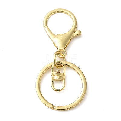 Alloy Keychain Clasp Findings X-KEYC-D050-03G-1