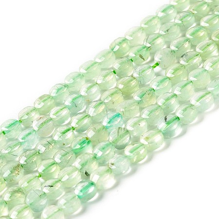 Natural Prehnite Beads Strands G-D0003-A99-1