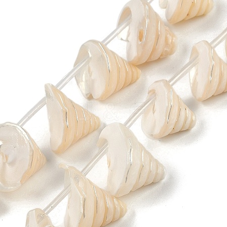 Natural Shell Beads Strands SHEL-K009-11-1