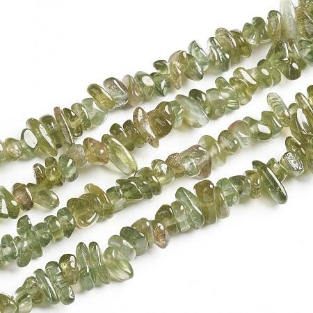 Natural Green Apatite Chips Beads Strands G-D0002-A13-1