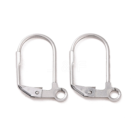 Tarnish Resistant 304 Stainless Steel Leverback Earring Findings LS-STAS-E007-6-1