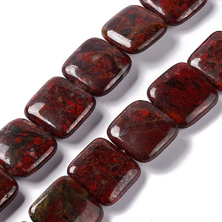 Natural Brecciated Jasper Beads Strands G-L253-13-1