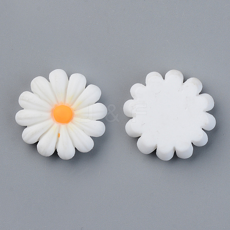 Resin Cabochons LS-RESI-R429-04B-06-1