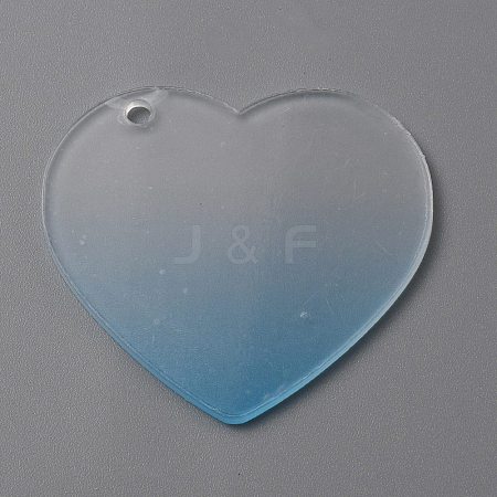 Gradient Transparent Acrylic Disc Big Pendants LS-FIND-WH0032-54A-1
