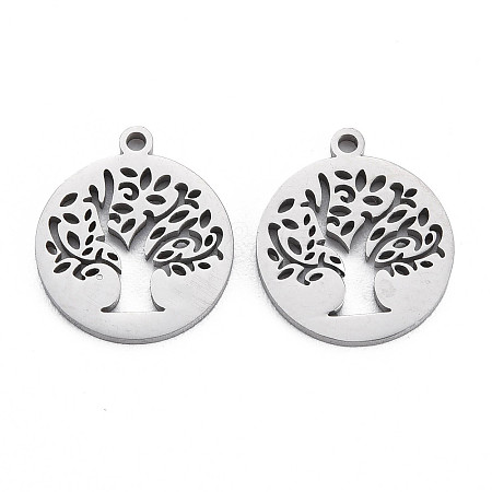 Non-Tarnish 304 Stainless Steel Charms LS-STAS-N095-053-1