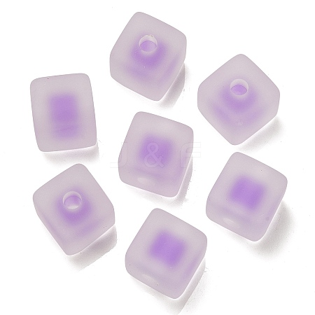 Frosted Acrylic European Beads OACR-G012-14H-1