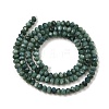 Natural Freshwater Shell Dyed Beads Strands SHEL-R100-13A-05-2