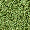 TOHO Round Seed Beads SEED-JPTR15-0946FM-2