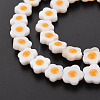 Natural Freshwater Shell Beads Strands with Enamel SHEL-T018-30-4