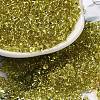 Baking Paint Glass Seed Beads SEED-K009-03B-05-1
