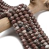 Natural Red Line Jasper Beads Strands G-Z111-A48-1