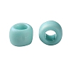 TOHO 8/0 Round Beads SEED-XTR08-0413F-3