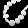 Natural Shell Beads Strands X-PBB-XXBK027Y-13-1
