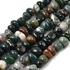 Natural Indian Agate Nuggets Beads Strands G-P091-35-2