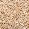 MIYUKI Delica Beads SEED-X0054-DB0205-3