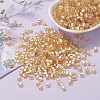 6/0 Glass Seed Beads SEED-YW0001-25K-6