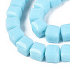 Opaque Glass Beads Strands GLAA-R041-8x8mm-C02-3