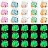 30Pcs 5 Colors Luminous Resin Home Display Decorations RESI-SZ0003-23-1