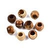 Natural Picture Jasper European Beads G-T092-10mm-27-1
