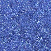 MIYUKI Delica Beads SEED-X0054-DB0077-3