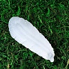 Natural Selenite Charging Bowl for Cleansing DJEW-PW0011-01D-1