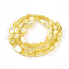 Natural White Shell Beads Strands SHEL-N036-21H-2