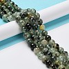 Natural Prehnite Beads Strands X-G-P322-48-10mm-01-5