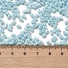 Glass Seed Beads SEED-K009-02A-02-4