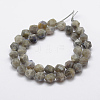 Natural Labradorite Beads Strands G-K209-02E-8mm-2