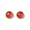 Natural Red Agate Cabochons G-G994-J01-01-3