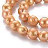 Natural Keshi Pearl Beads Strands PEAR-S020-L01-4