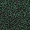 TOHO 8/0 Round Beads SEED-XTR08-0036-2